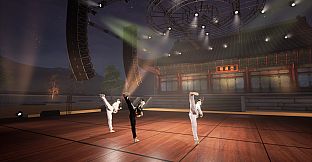 Taekwondo Demonstration Team Simulator