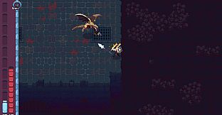 Fate of the Seventh Scholar