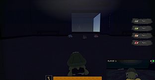 TurtleSkate
