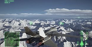 ACE COMBAT 8 - Playable Aircraft: F-14A
