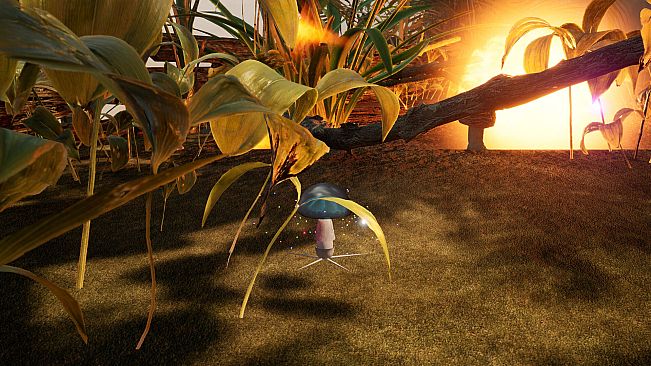 The Mushroom Adventrue:Call of Distant Realms