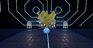 The Boundary Condition