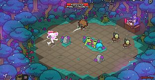 Wizard Finals