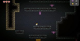 Behind Closed Doors: A Developer's Tale