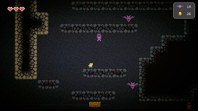 Behind Closed Doors: A Developer's Tale