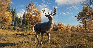 theHunter: Call of the Wild - TruRACS