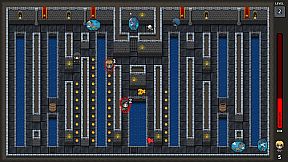 Quest for the Golden Duck