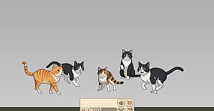 Nothing But Cats