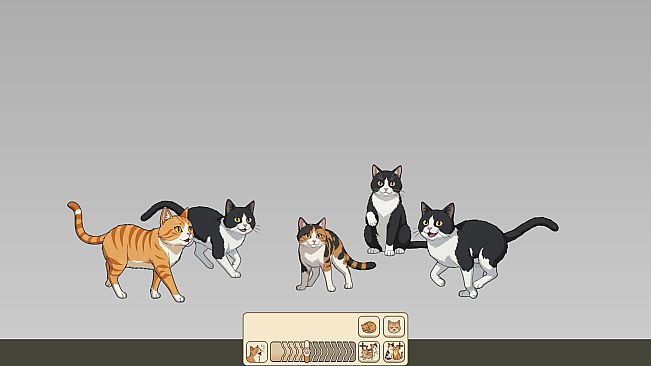Nothing But Cats