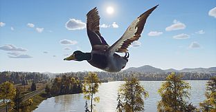 Way of the Hunter - Lintukoto Reserve