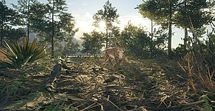 theHunter Call of the Wild - Rancho del Arroyo