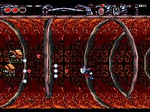 TCK - The Cursed Knight