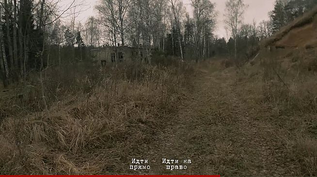 Role Player: Full Immersion