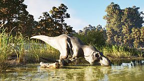 XenoWild: Survival Beyond