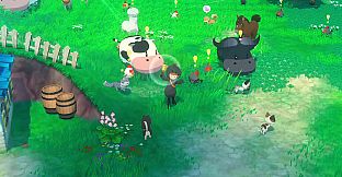 STORY OF SEASONS: Grand Bazaar - Trunk of Transformation