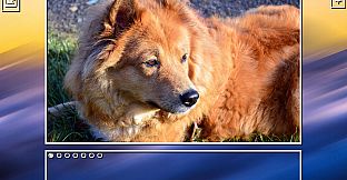 Super Jigsaw Puzzle: Generations - Dogs Puzzles