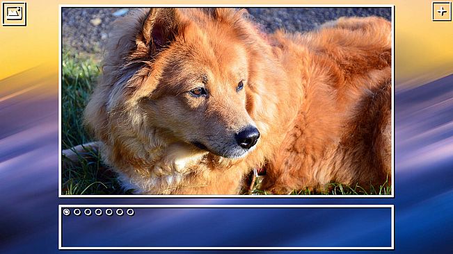 Super Jigsaw Puzzle: Generations - Dogs Puzzles