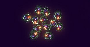 Substrate: Emergence