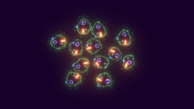 Substrate: Emergence