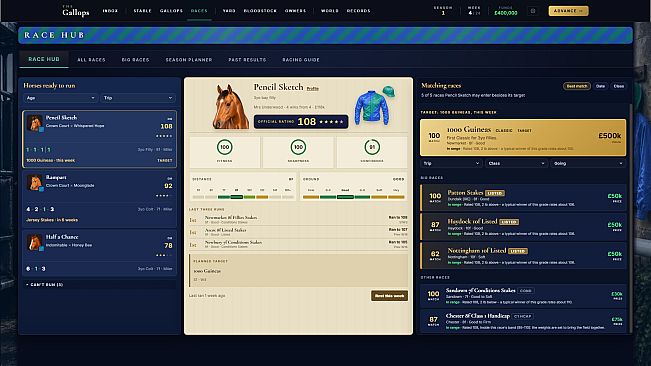 The Gallops: Horse Racing Manager