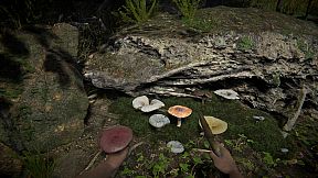 Primal Man Simulator