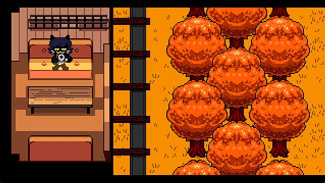 Party on Hallow Grove