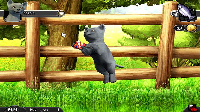 My Best Friends - Cats & Dogs