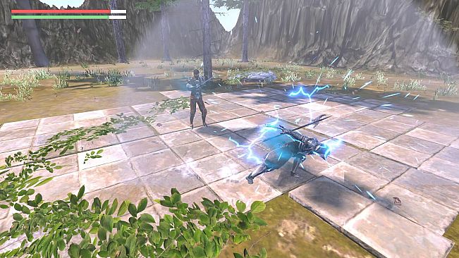 The King of Assassins - The Kingdom