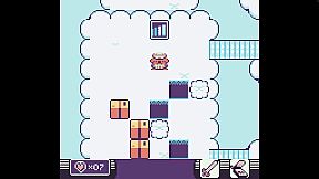 Toni Island Adventure