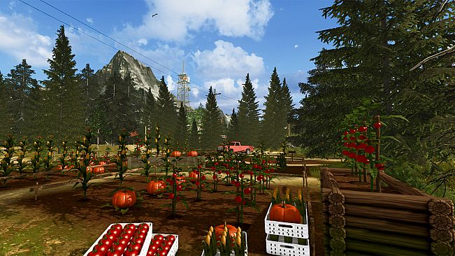 Countryside Life Simulator