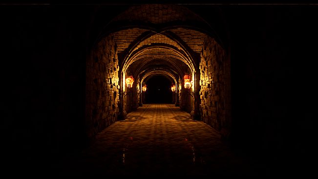 The Thief In The Dark