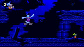 Maui Mallard in Cold Shadow