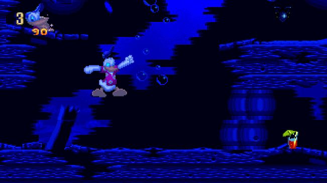 Maui Mallard in Cold Shadow