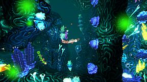 Into the Belly of the Beast