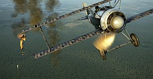 IL-2 Sturmovik: SSW D.IV Collector Plane