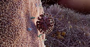 Museum of Other Realities - VIFF Immersed 2021