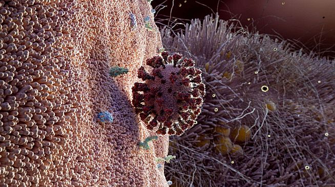 Museum of Other Realities - VIFF Immersed 2021