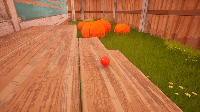 Bounce Forever