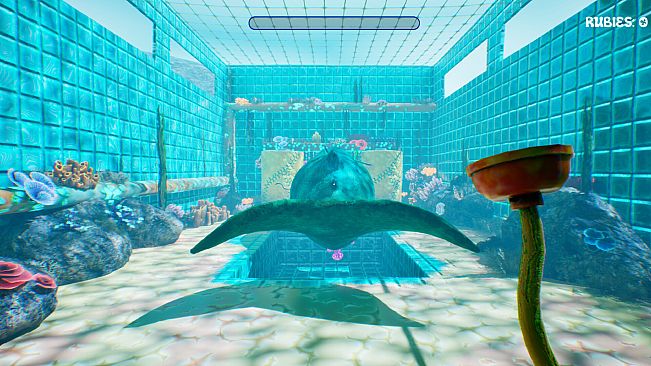 Whale Cleaner