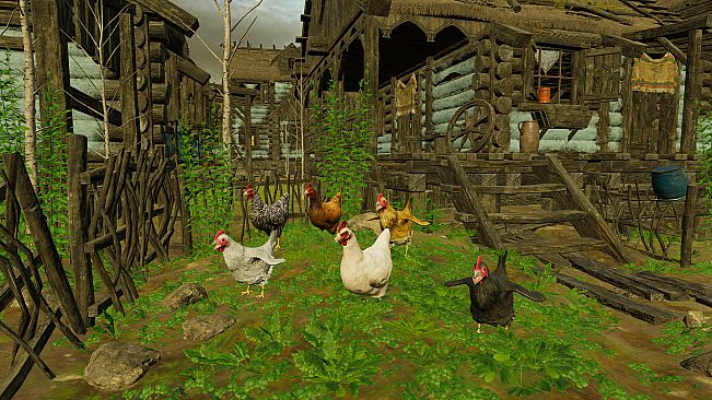 Animals for Clip maker