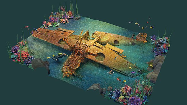 Puzzling Places - Summer Dive