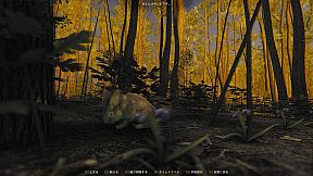 Mindfulness Simulator - ASMR Meditation Game