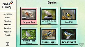BirdLingo: A birdsong learning game