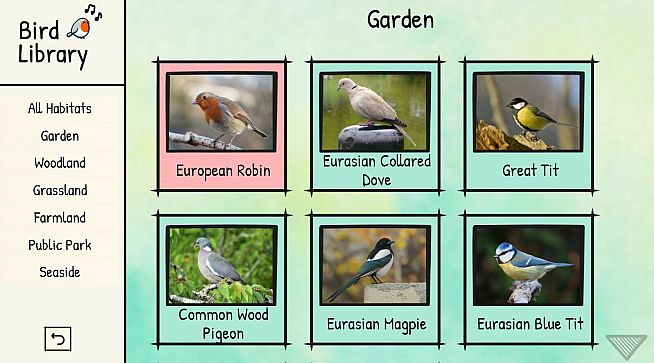 BirdLingo: A birdsong learning game