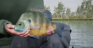 Fishing Sim World: Pro Tour - Lake Williams