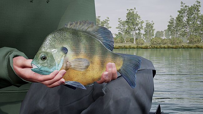 Fishing Sim World: Pro Tour - Lake Williams