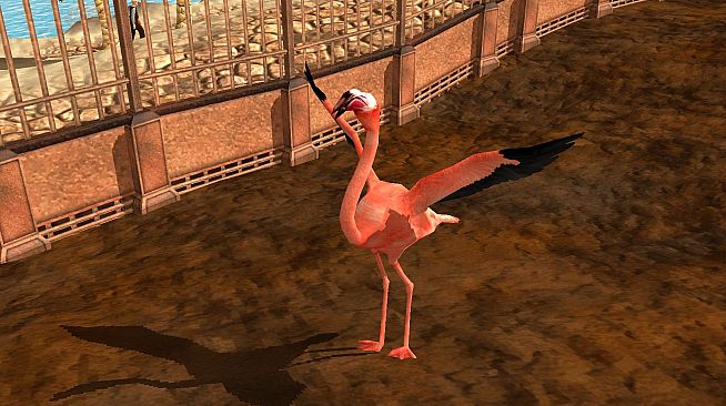 Wildlife Park 3 - Creatures of the Caribbean