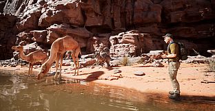 Australian Hunter