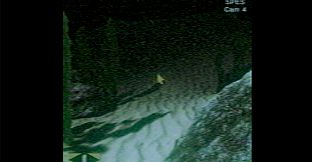 Through The Murky Water