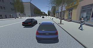 Tercity Life Simulator